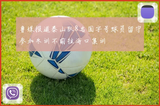 鲁媒报道泰山队8名国字号球员留守参加冬训不前往海口集训