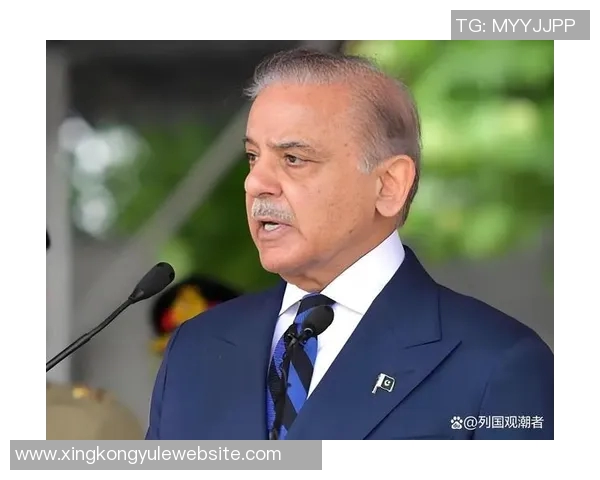 阿媒揭马来西亚归化球员身份造假问题祖父母均无马来西亚血统 阿媒揭马来西亚归化球员身份造假问题祖父母均无马来西亚血统